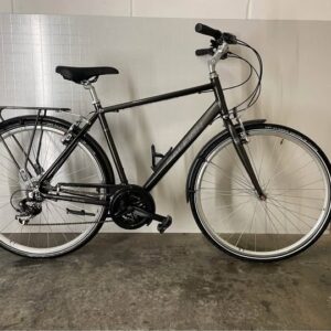 Raleigh Pioneer 1