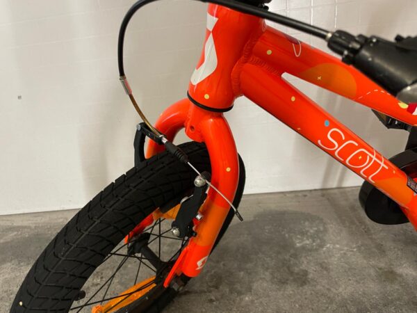 Scott Roxter 16 - Image 3