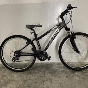 Giant Boulder Mountain Bike