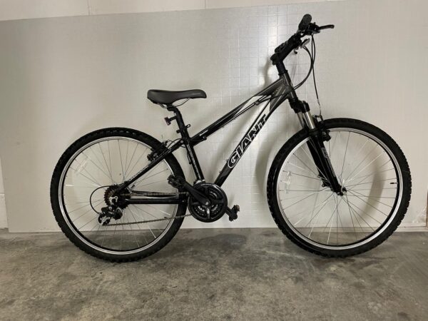 Giant Boulder Mountain Bike