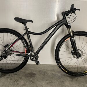 Trek Skye SLX