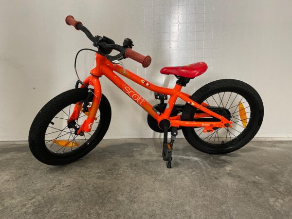 Scott Roxter 16 - Image 7