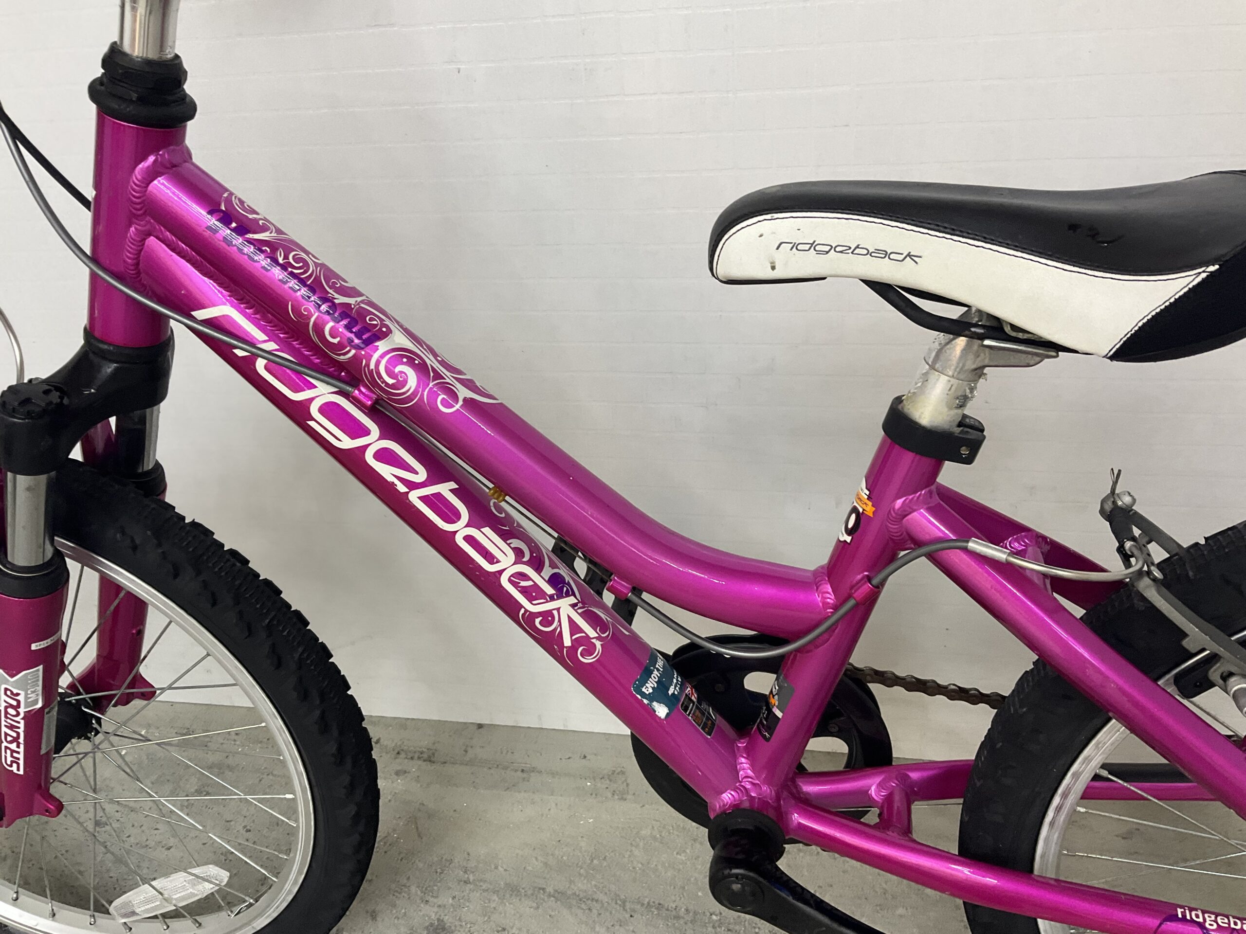 Ridgeback Harmony - Image 4