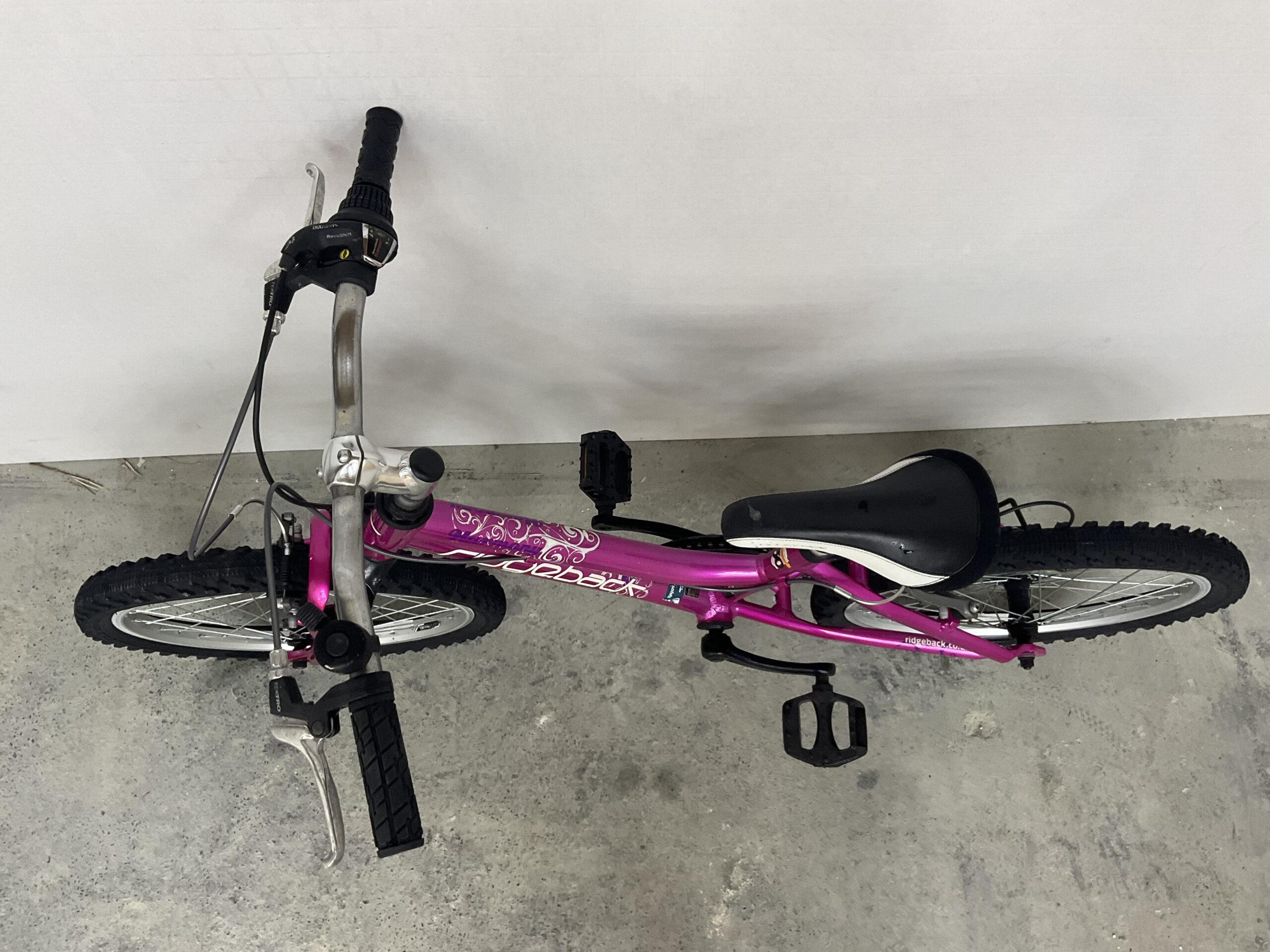 Ridgeback Harmony - Image 6