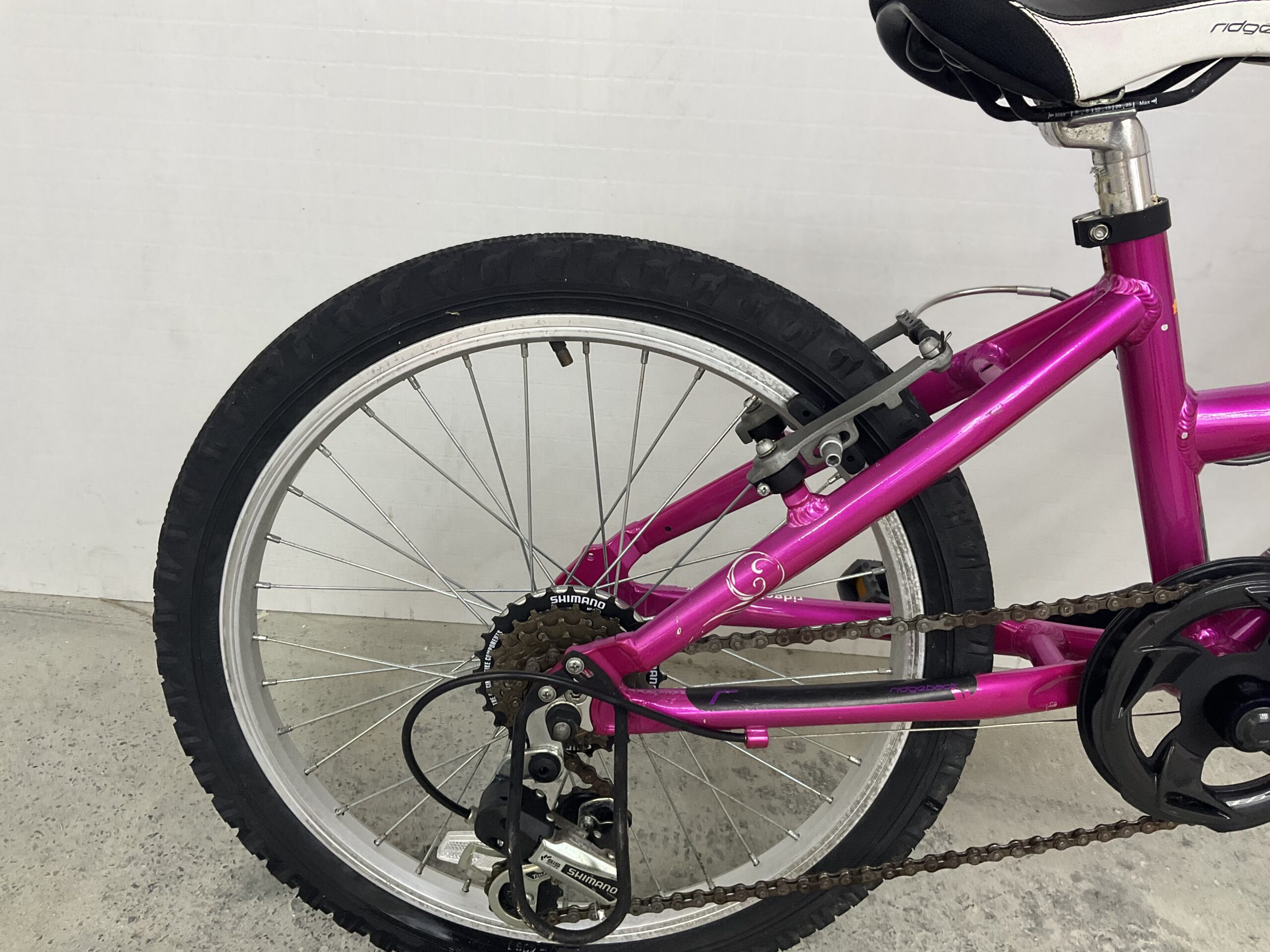 Ridgeback Harmony - Image 7