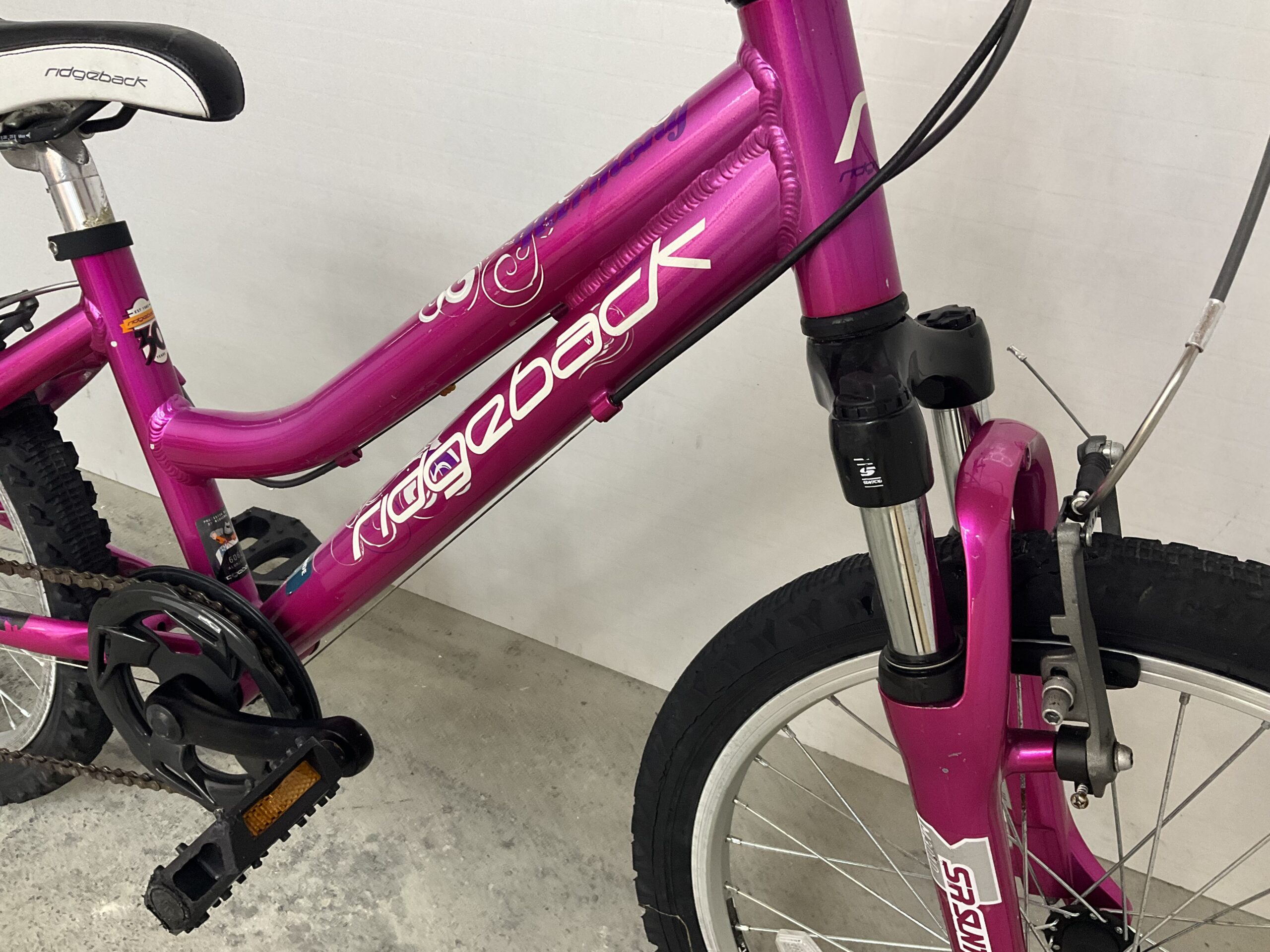 Ridgeback Harmony - Image 8