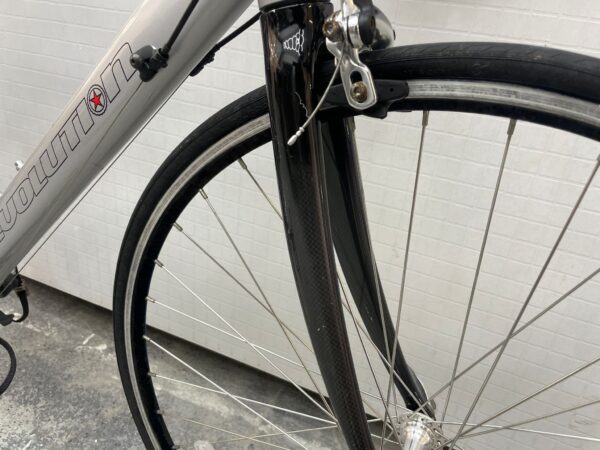 Revolution Continental - Image 5